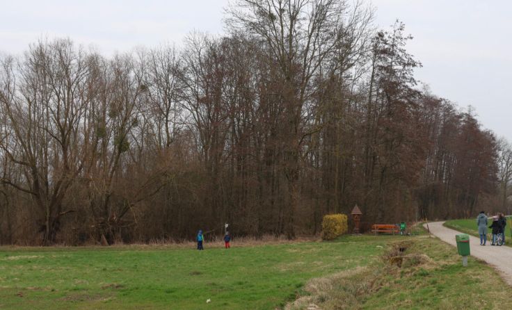Beim Baumklettern blieb der Bub in einer Astgabel stecken. (Foto: laumat/Matthias Lauber)