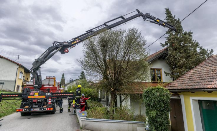 Die Feuerwehr hob den Baum im Ganzen mit dem Kran weg. (Foto: Hermann Kollinger)