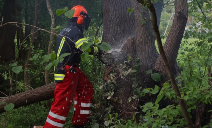 Die Welser Feuerwehr weiß auch mit der Motorsäge umzugehen. (Foto: laumat/Matthias Lauber)