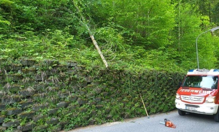 Die Feuerwehr verarbeitete den rund 20 Zentimeter dicken Baum zu Kleinholz. (Foto: ff-badischl.at)