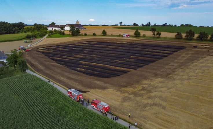 Das abgebrannte Stoppelfeld (Foto: laumat/Matthias Lauber)