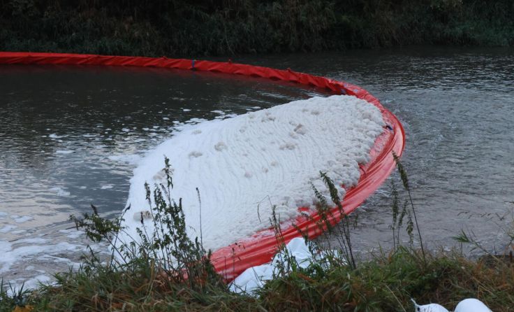 Schaum auf der Krems (Foto: laumat/Matthias Lauber)