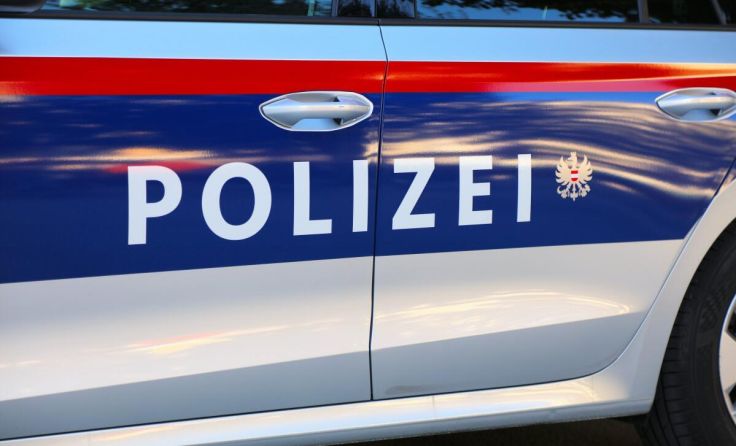 Die Polizei nahm die Frau fest. (Foto: Tupungato/stock.adobe.com (Symbolfoto))