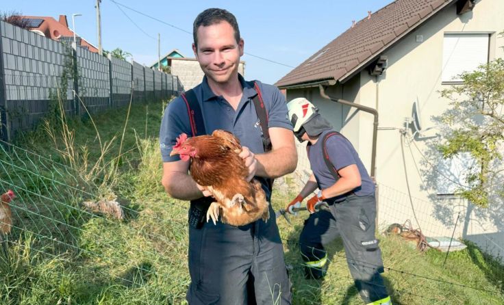 Das Huhn konnte wohlauf gerettet werden. (Foto: FF Ohlsdorf)