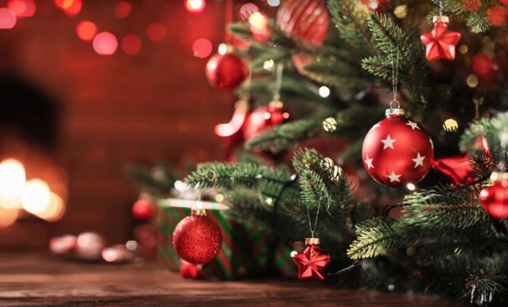 (Foto: Pasko Maksim/stock.adobe.com)