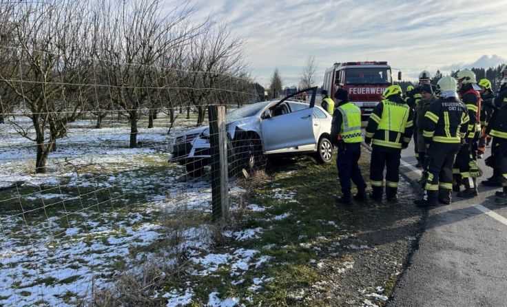 Der Wagen landete in einem Zaun. (Foto: FF Ort)