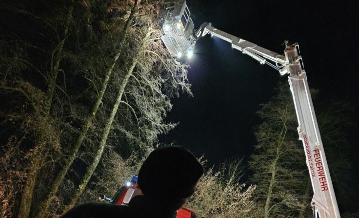 Tierischer Einsatz für die Feuerwehr (Foto: FF Achleiten)