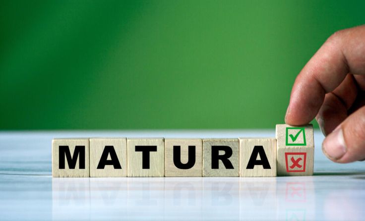 Matura bestanden; und dann? (Foto: daily_creativity/stock.adobe.com)