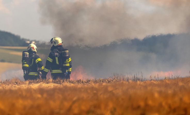 Foto: TEAM FOTOKERSCHI / FRANZ PLECHINGER
