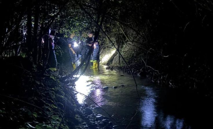  (Foto: Petra Baumgartner)