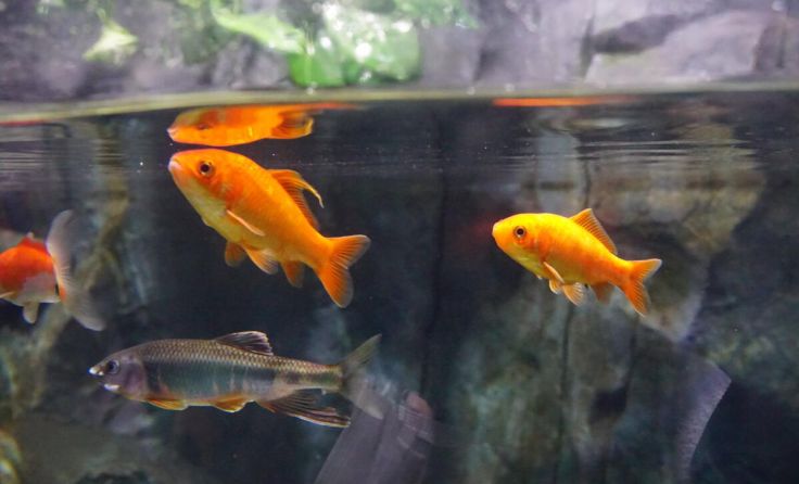  (Foto: yue/stock.adobe.com (Symbolfoto))