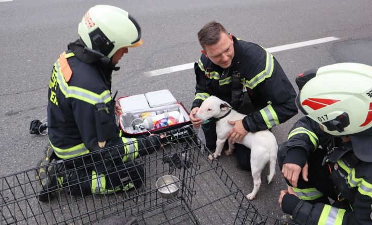 Foto: Berufsfeuerwehr Linz
