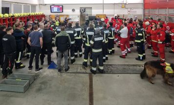 Abgängiger Mann bei Suchaktion in Altenfelden wohlauf gefunden