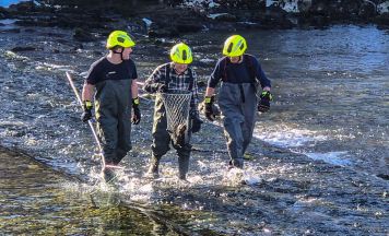 Katz-und-Maus-Spiel zwischen verletztem Kormoran und Feuerwehr in Bad Goisern