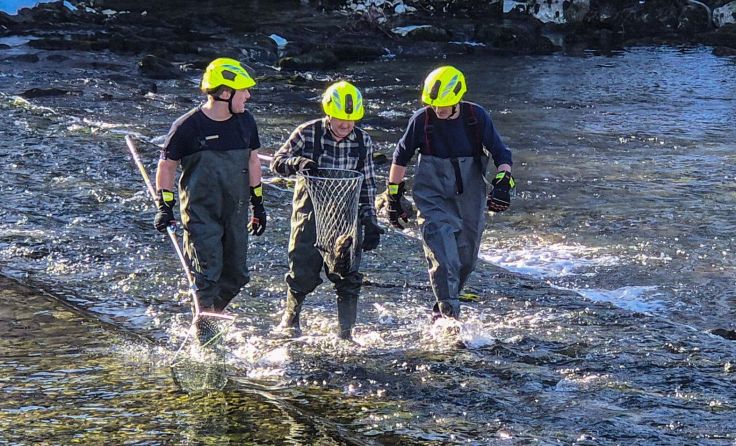 Foto: www.ff-badgoisern.at