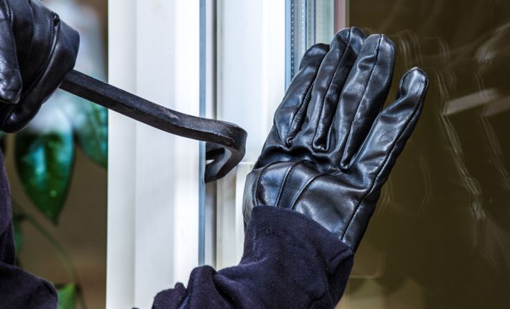 Symbolfoto: AdobeStock/Rainer Fuhrmann