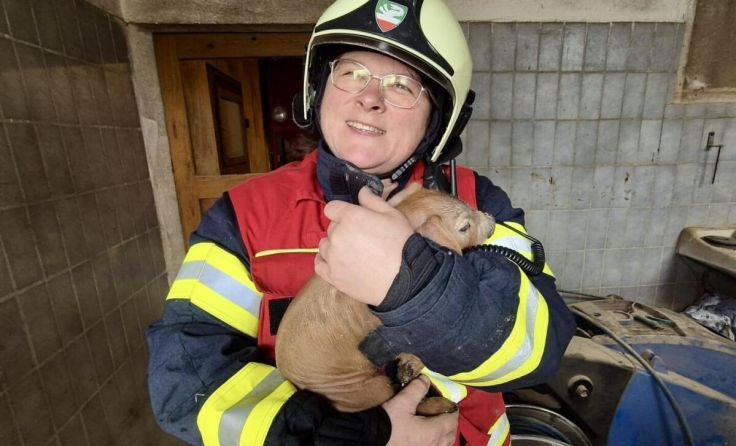  (Foto: Feuerwehr Enns)