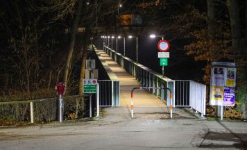 Polizei fand abgestürzten Betrunkener (42) im Dickicht einer Brombeerstaude