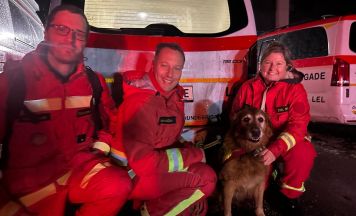 Rettungshund Findus fand vermisste 68-Jährige in Linz