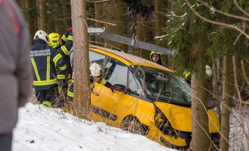 Auto stürzte bei Unfall in Zwettl über Böschung in Wald