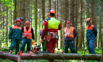 Anschlusslehre macht Forstfacharbeiterbrief in einem Jahr möglich