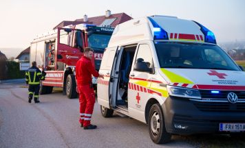 Frau in Pregarten bei der Waldarbeit verletzt