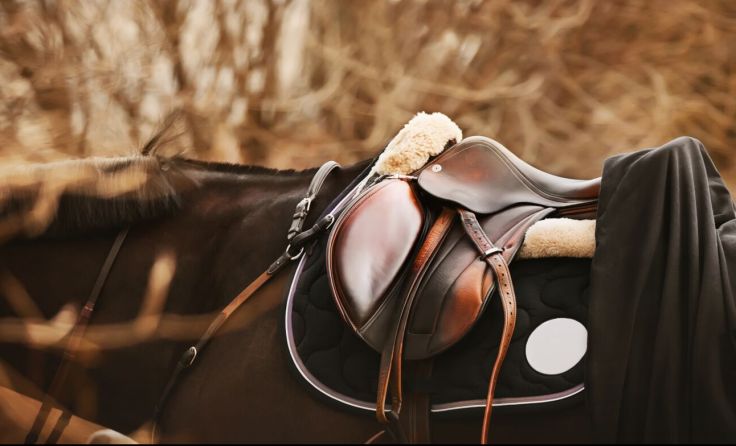 Symbolfoto: Valeri Vatel/stock.adobe.com