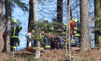 Mann (33) bei Forstunfall in Handenberg verletzt