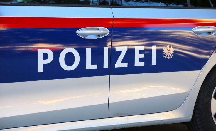 Symbolfoto: Tupungatostock-stock.adobe.com