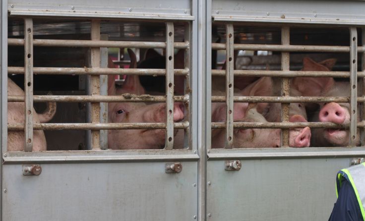 Foto: laumat/Matthias Lauber