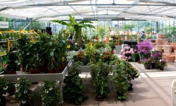 Baumschulen Alois Stöckl GmbH: Die Pflanzenprofis