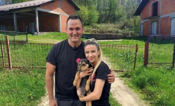 Tierschutz in Bosnien: Wie Spenden bei Ein Herz für Hunde helfen