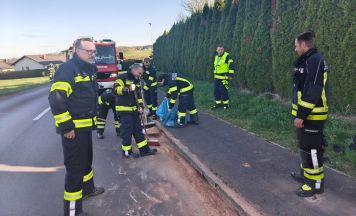 Biker in Schweinbach über Motorhaube geschleudert