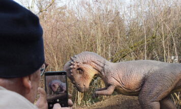 Zeitreise durch die Evolution in Schmiding