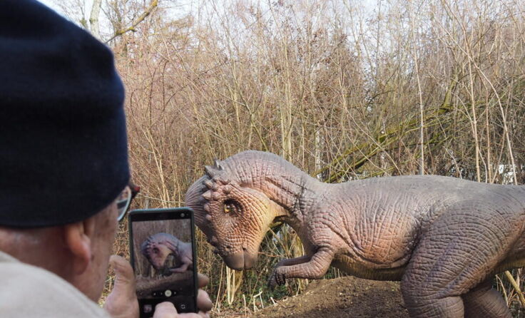 Dinosaurier zeigen, wie vielfältig das Leben bereits in der Urzeit war. (Foto: Evolutionsmuseum)