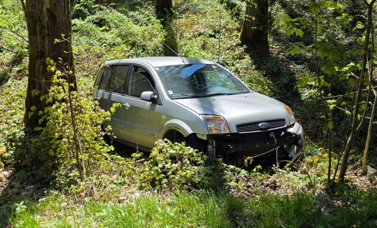 Foto: FF Altmünster/Fischer