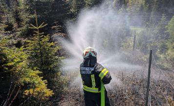 Sommer-Wochenende verschärft Waldbrandlage in Oberösterreich