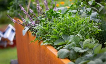 Schneckenabwehr im Garten: Hochbeet-Tipps von Gartenonline.at und prima terra