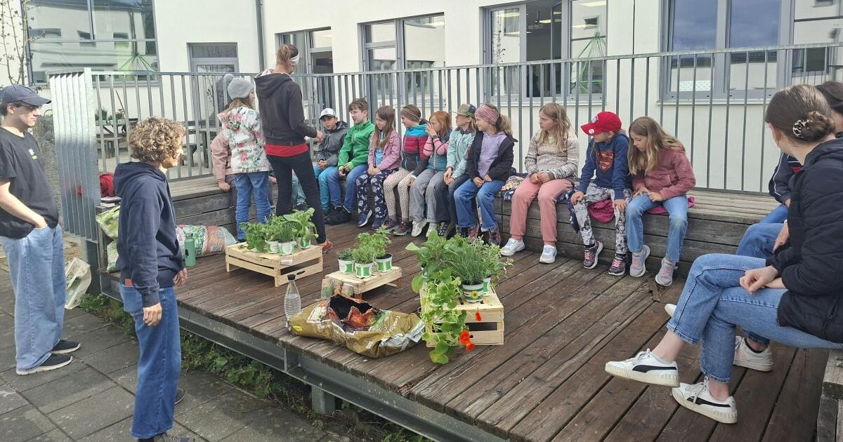 St. Oswald Elementary School: Where space becomes pedagogy