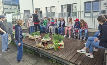 Volksschule St. Oswald: Wo Raum zur Pädagogik wird