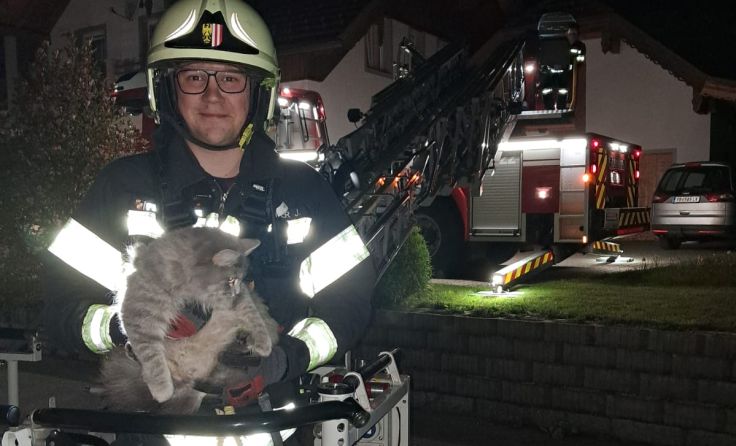 Die Rettungsaktion war erfolgreich (Foto: FF St. Georgen im Attergau)