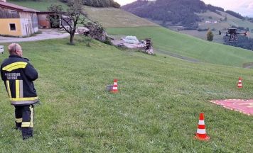 Sieben Kälber in Maria Neustift abgestürzt und verendet