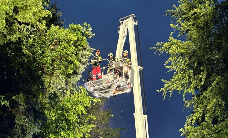 Im Unwettereinsatz (Foto: Feuerwehr Altmünster)