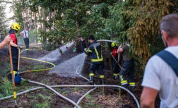Waldbrand in Tragwein