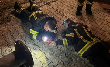 Hund steckte in Hellmonsödt in Rohr fest