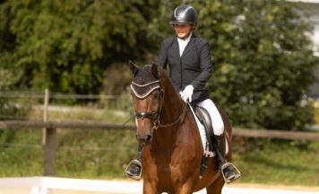 Nationales Dressurturnier in Oepping