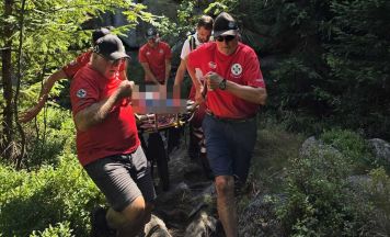 Hitze-Einsätze im Böhmerwald: Bergrettung zweimal binnen zwei Stunden gefordert