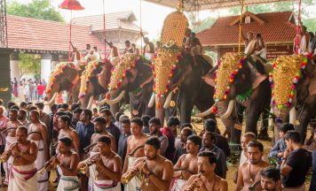 Kerala Rundreise authentisch und einzigartig – mit Amazing Indien Reisen