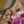tips.at Logo/Newsbild