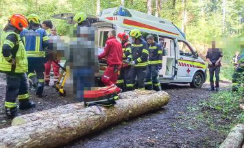 Mann bei Forstunfall in Bad Goisern verletzt